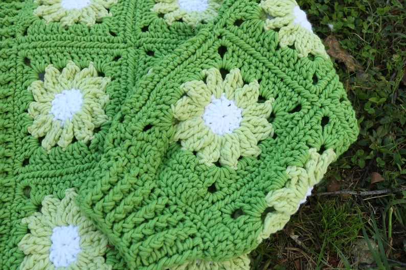 A Burst of Color for Cozy Days